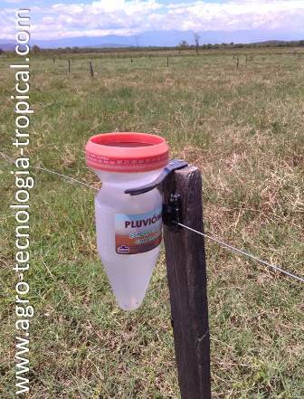Pluviometro Pluviómetro: instrumento para medir precipitación