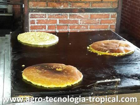 Las cachapas se hacen con jojotos que tienen los granos en fase pastosa